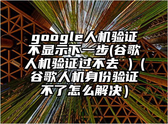 google人机验证不显示下一步(谷歌人机验证过不去 )（谷歌人机身份验证不了怎么解决）