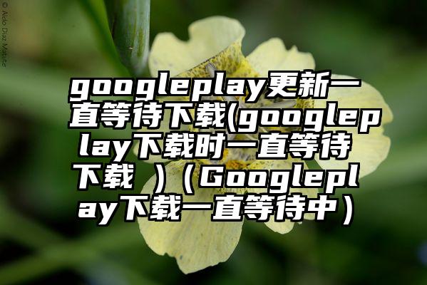 googleplay更新一直等待下载(googleplay下载时一直等待下载 )(Googleplay下载一直等待中)