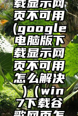 google电脑版下载显示网页不可用(google电脑版下载显示网页不可用怎么解决 )（win7下载谷歌网页怎么用不了怎
