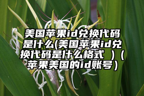美国苹果id兑换代码是什么(美国苹果id兑换代码是什么格式 )(苹果美国的id账号)
