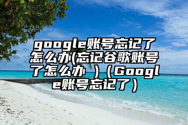 google账号忘记了怎么办(忘记谷歌账号了怎么办 )（Google账号忘记了）