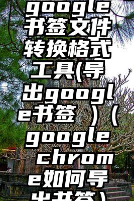google书签文件转换格式工具(导出google书签 )（google chrome如何导出书签）