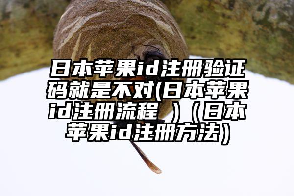 日本苹果id注册验证码就是不对(日本苹果id注册流程 )（日本苹果id注册方法）
