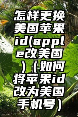怎样更换美国苹果id(apple改美国 )（如何将苹果id改为美国手机号）