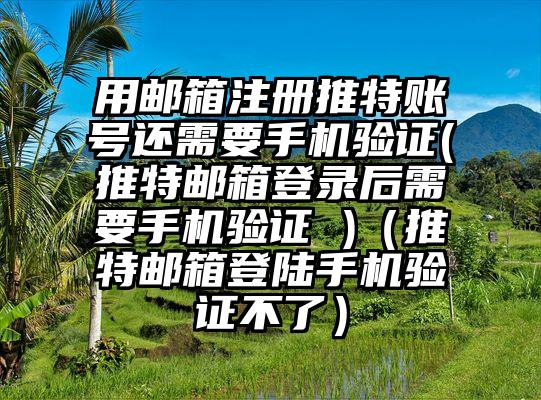 用邮箱注册推特账号还需要手机验证(推特邮箱登录后需要手机验证 )（推特邮箱登陆手机验证不了）