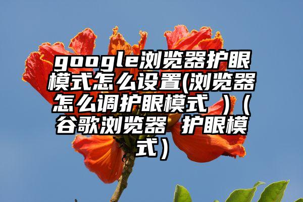 google浏览器护眼模式怎么设置(浏览器怎么调护眼模式 )（谷歌浏览器 护眼模式）