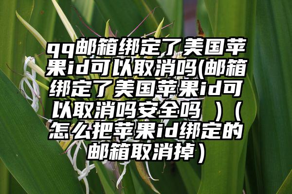 qq邮箱绑定了美国苹果id可以取消吗(邮箱绑定了美国苹果id可以取消吗安全吗 )（怎么把苹果id绑定的邮箱取消掉）