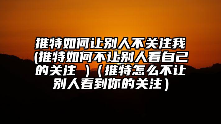 推特如何让别人不关注我(推特如何不让别人看自己的关注 )（推特怎么不让别人看到你的关注）