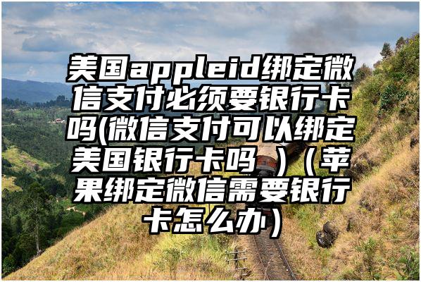 美国appleid绑定微信支付必须要银行卡吗(微信支付可以绑定美国银行卡吗 )（苹果绑定微信需要银行卡怎么办）