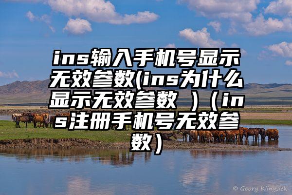 ins输入手机号显示无效参数(ins为什么显示无效参数 )(ins注册手机号无效参数)