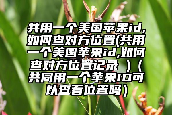 共用一个美国苹果id,如何查对方位置(共用一个美国苹果id,如何查对方位置记录 )（共同用一个苹果ID可以查看位置吗）