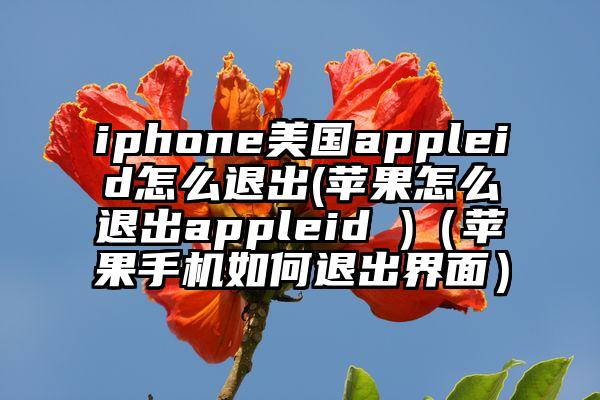 iphone美国appleid怎么退出(苹果怎么退出appleid )(苹果手机如何退出界面)