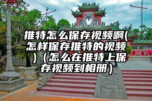 推特怎么保存视频啊(怎样保存推特的视频 )(怎么在推特上保存视频到相册)