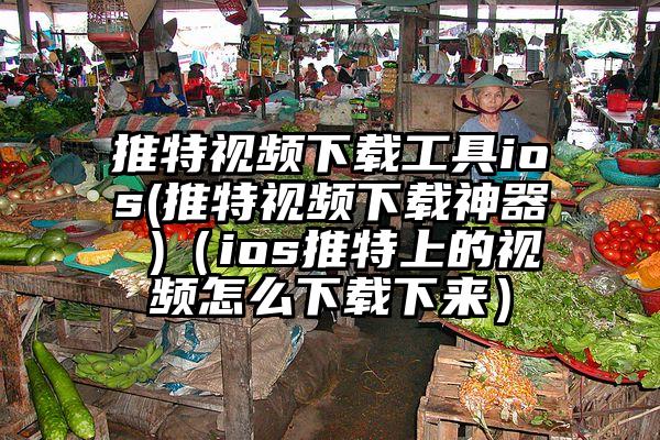 推特视频下载工具ios(推特视频下载神器 )（ios推特上的视频怎么下载下来）