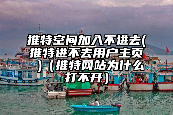 推特空间加入不进去(推特进不去用户主页 )（推特网站为什么打不开）