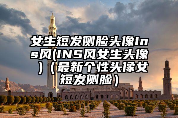 女生短发侧脸头像ins风(INS风女生头像 )（最新个性头像女短发侧脸）