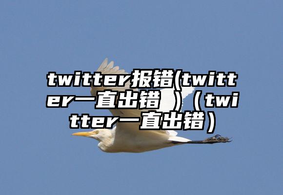 twitter报错(twitter一直出错 )（twitter一直出错）