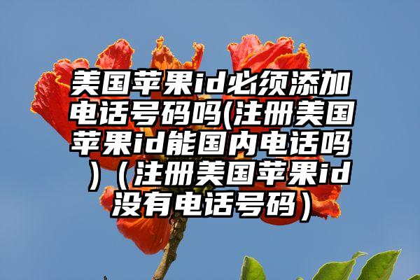 美国苹果id必须添加电话号码吗(注册美国苹果id能国内电话吗 )（注册美国苹果id没有电话号码）