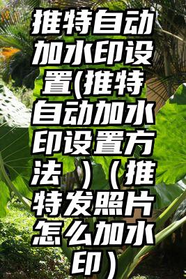 推特自动加水印设置(推特自动加水印设置方法 )（推特发照片怎么加水印）