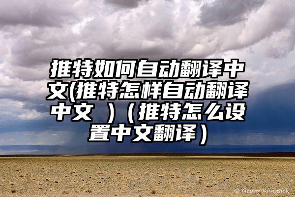 推特如何自动翻译中文(推特怎样自动翻译中文 )（推特怎么设置中文翻译）