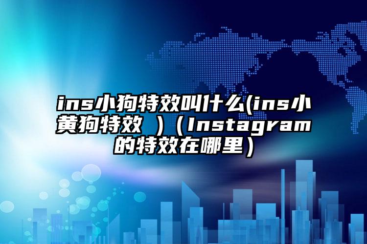ins小狗特效叫什么(ins小黄狗特效 )（Instagram的特效在哪里）