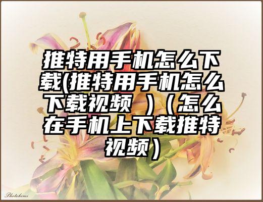 推特用手机怎么下载(推特用手机怎么下载视频 )(怎么在手机上下载推特视频)