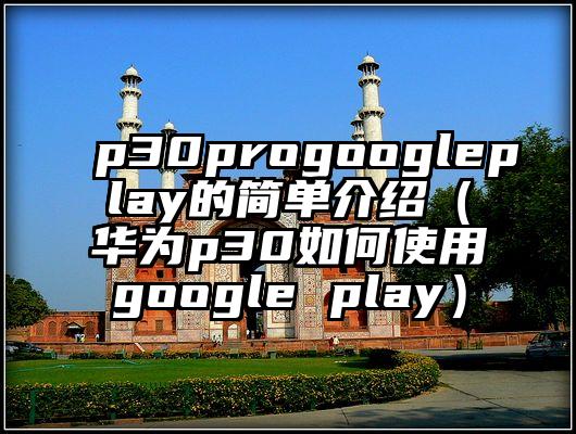 p30progoogleplay的简单介绍（华为p30如何使用google play）