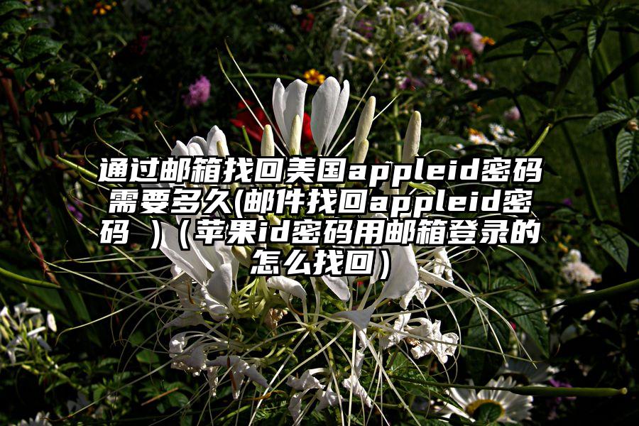 通过邮箱找回美国appleid密码需要多久(邮件找回appleid密码 )（苹果id密码用邮箱登录的怎么找回）