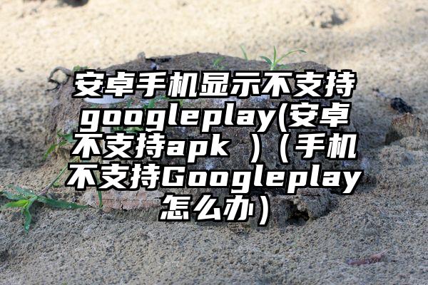 安卓手机显示不支持googleplay(安卓不支持apk )（手机不支持Googleplay怎么办）