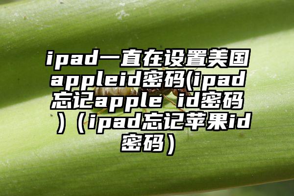ipad一直在设置美国appleid密码(ipad忘记apple id密码 )（ipad忘记苹果id密码）