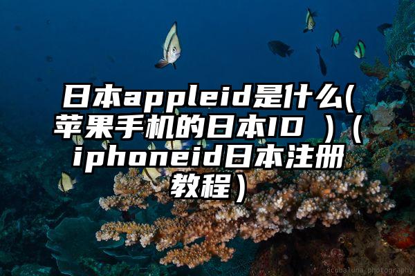 日本appleid是什么(苹果手机的日本ID )（iphoneid日本注册教程）