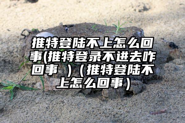 推特登陆不上怎么回事(推特登录不进去咋回事 )（推特登陆不上怎么回事）