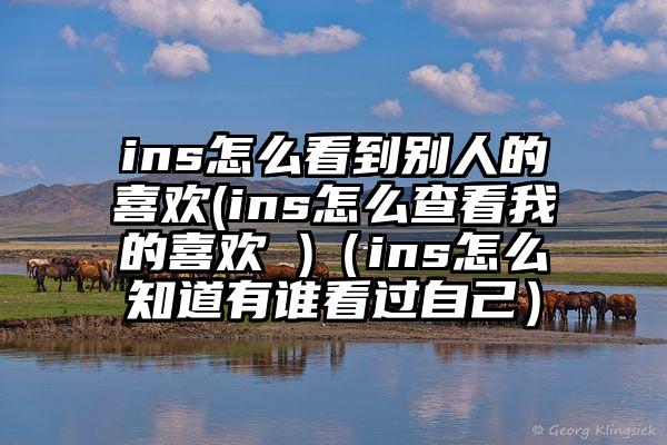 ins怎么看到别人的喜欢(ins怎么查看我的喜欢 )（ins怎么知道有谁看过自己）