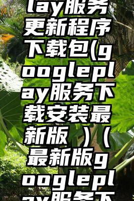 googleplay服务更新程序下载包(googleplay服务下载安装最新版 )（最新版googleplay服务下载）