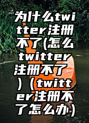 为什么twitter注册不了(怎么twitter注册不了 )（twitter注册不了怎么办）