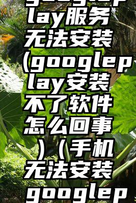 googleplay服务无法安装(googleplay安装不了软件怎么回事 )（手机无法安装googleplay）