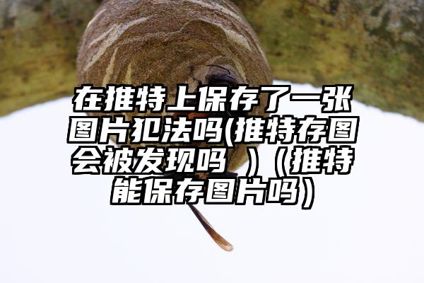 在推特上保存了一张图片犯法吗(推特存图会被发现吗 )（推特能保存图片吗）