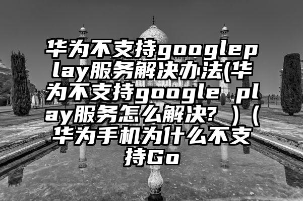 华为不支持googleplay服务解决办法(华为不支持google play服务怎么解决? )（华为手机为什么不支持Go