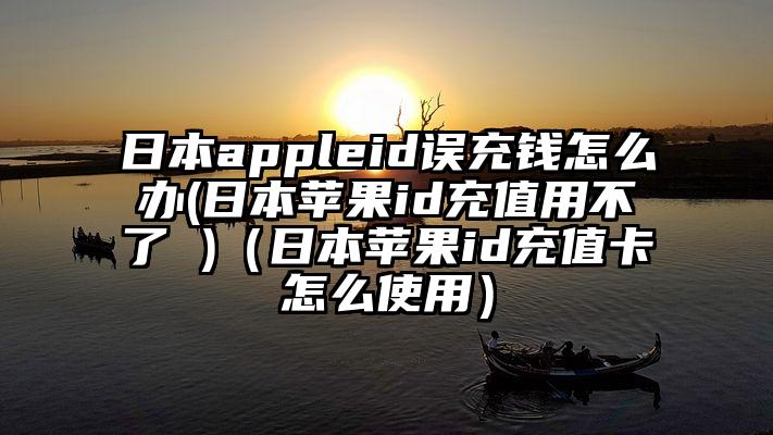 日本appleid误充钱怎么办(日本苹果id充值用不了 )（日本苹果id充值卡怎么使用）