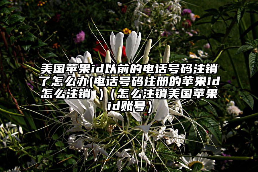 美国苹果id以前的电话号码注销了怎么办(电话号码注册的苹果id怎么注销 )（怎么注销美国苹果id账号）