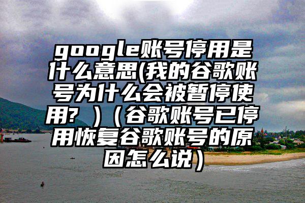 google账号停用是什么意思(我的谷歌账号为什么会被暂停使用? )（谷歌账号已停用恢复谷歌账号的原因怎么说）