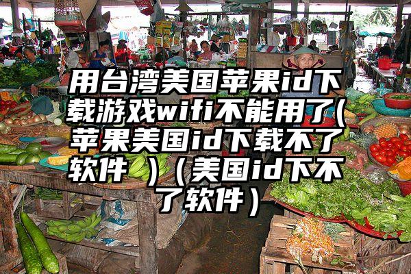用台湾美国苹果id下载游戏wifi不能用了(苹果美国id下载不了软件 )（美国id下不了软件）