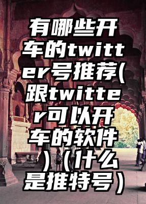 有哪些开车的twitter号推荐(跟twitter可以开车的软件 )（什么是推特号）