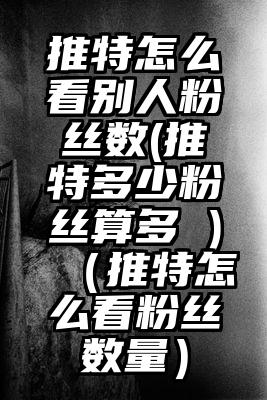 推特怎么看别人粉丝数(推特多少粉丝算多 )（推特怎么看粉丝数量）
