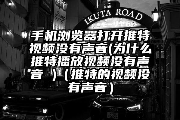 手机浏览器打开推特视频没有声音(为什么推特播放视频没有声音 )（推特的视频没有声音）