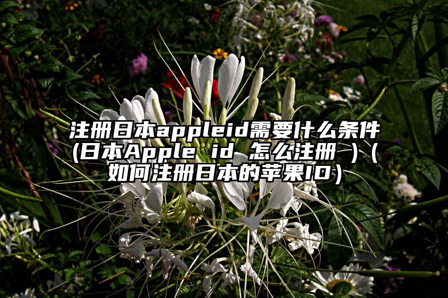 注册日本appleid需要什么条件(日本Apple id 怎么注册 )（如何注册日本的苹果ID）