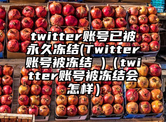 twitter账号已被永久冻结(Twitter账号被冻结 )（twitter账号被冻结会怎样）