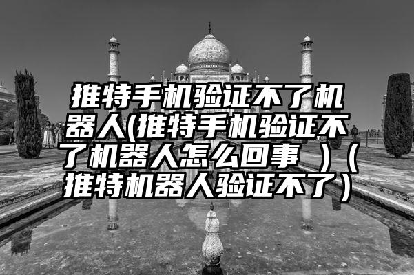推特手机验证不了机器人(推特手机验证不了机器人怎么回事 )（推特机器人验证不了）