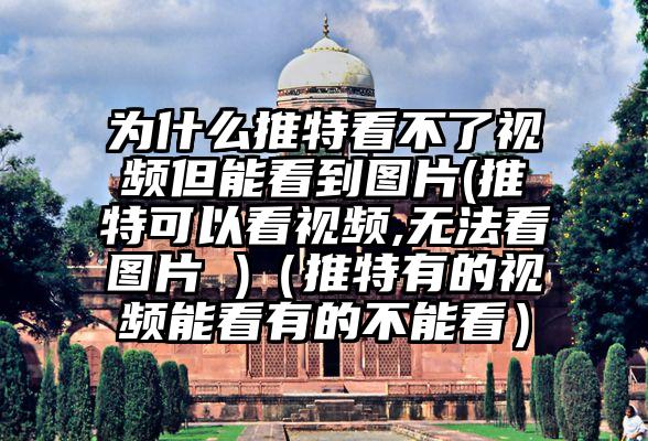为什么推特看不了视频但能看到图片(推特可以看视频,无法看图片 )（推特有的视频能看有的不能看）