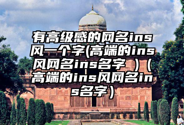 有高级感的网名ins风一个字(高端的ins风网名ins名字 )（高端的ins风网名ins名字）
